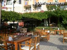 [P25] Kusadasi - Hotel Sozer - terasa de jos. » foto by presario
 - 
<span class="allrVoted glyphicon glyphicon-heart hidden" id="av88459"></span>
<a class="m-l-10 hidden" id="sv88459" onclick="voting_Foto_DelVot(,88459,1134)" role="button">șterge vot <span class="glyphicon glyphicon-remove"></span></a>
<a id="v988459" class=" c-red"  onclick="voting_Foto_SetVot(88459)" role="button"><span class="glyphicon glyphicon-heart-empty"></span> <b>LIKE</b> = Votează poza</a> <img class="hidden"  id="f88459W9" src="/imagini/loader.gif" border="0" /><span class="AjErrMes hidden" id="e88459ErM"></span>