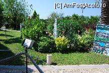 [P09] gradina de la hipodrom » foto by catahappy
 - 
<span class="allrVoted glyphicon glyphicon-heart hidden" id="av92755"></span>
<a class="m-l-10 hidden" id="sv92755" onclick="voting_Foto_DelVot(,92755,164)" role="button">șterge vot <span class="glyphicon glyphicon-remove"></span></a>
<a id="v992755" class=" c-red"  onclick="voting_Foto_SetVot(92755)" role="button"><span class="glyphicon glyphicon-heart-empty"></span> <b>LIKE</b> = Votează poza</a> <img class="hidden"  id="f92755W9" src="/imagini/loader.gif" border="0" /><span class="AjErrMes hidden" id="e92755ErM"></span>