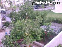 [P02] Vedere de pe terasa spre strada si un colt din curtea Hotel Marie » foto by Englezu
 - 
<span class="allrVoted glyphicon glyphicon-heart hidden" id="av26497"></span>
<a class="m-l-10 hidden" id="sv26497" onclick="voting_Foto_DelVot(,26497,3070)" role="button">șterge vot <span class="glyphicon glyphicon-remove"></span></a>
<a id="v926497" class=" c-red"  onclick="voting_Foto_SetVot(26497)" role="button"><span class="glyphicon glyphicon-heart-empty"></span> <b>LIKE</b> = Votează poza</a> <img class="hidden"  id="f26497W9" src="/imagini/loader.gif" border="0" /><span class="AjErrMes hidden" id="e26497ErM"></span>
