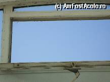 [P03] geamul de pe hol plin de paianjeni seara era un cosmar  » foto by sabausorin
 - 
<span class="allrVoted glyphicon glyphicon-heart hidden" id="av14626"></span>
<a class="m-l-10 hidden" id="sv14626" onclick="voting_Foto_DelVot(,14626,3138)" role="button">șterge vot <span class="glyphicon glyphicon-remove"></span></a>
<a id="v914626" class=" c-red"  onclick="voting_Foto_SetVot(14626)" role="button"><span class="glyphicon glyphicon-heart-empty"></span> <b>LIKE</b> = Votează poza</a> <img class="hidden"  id="f14626W9" src="/imagini/loader.gif" border="0" /><span class="AjErrMes hidden" id="e14626ErM"></span>