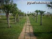 [P04] DRUMUL SPRE PLAJA... » foto by BONITA
 - 
<span class="allrVoted glyphicon glyphicon-heart hidden" id="av17681"></span>
<a class="m-l-10 hidden" id="sv17681" onclick="voting_Foto_DelVot(,17681,3324)" role="button">șterge vot <span class="glyphicon glyphicon-remove"></span></a>
<a id="v917681" class=" c-red"  onclick="voting_Foto_SetVot(17681)" role="button"><span class="glyphicon glyphicon-heart-empty"></span> <b>LIKE</b> = Votează poza</a> <img class="hidden"  id="f17681W9" src="/imagini/loader.gif" border="0" /><span class="AjErrMes hidden" id="e17681ErM"></span>