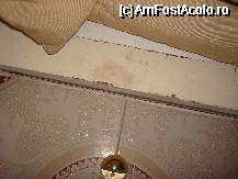 [P22]  -- <small>// FĂRĂ DESCRIERE</small> » foto by ELENA1
 - 
<span class="allrVoted glyphicon glyphicon-heart hidden" id="av67935"></span>
<a class="m-l-10 hidden" id="sv67935" onclick="voting_Foto_DelVot(,67935,3324)" role="button">șterge vot <span class="glyphicon glyphicon-remove"></span></a>
<a id="v967935" class=" c-red"  onclick="voting_Foto_SetVot(67935)" role="button"><span class="glyphicon glyphicon-heart-empty"></span> <b>LIKE</b> = Votează poza</a> <img class="hidden"  id="f67935W9" src="/imagini/loader.gif" border="0" /><span class="AjErrMes hidden" id="e67935ErM"></span>