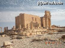 [P12] Intrarea in orasul Palmyra » foto by artemisa24
 - 
<span class="allrVoted glyphicon glyphicon-heart hidden" id="av164652"></span>
<a class="m-l-10 hidden" id="sv164652" onclick="voting_Foto_DelVot(,164652,3383)" role="button">șterge vot <span class="glyphicon glyphicon-remove"></span></a>
<a id="v9164652" class=" c-red"  onclick="voting_Foto_SetVot(164652)" role="button"><span class="glyphicon glyphicon-heart-empty"></span> <b>LIKE</b> = Votează poza</a> <img class="hidden"  id="f164652W9" src="/imagini/loader.gif" border="0" /><span class="AjErrMes hidden" id="e164652ErM"></span>