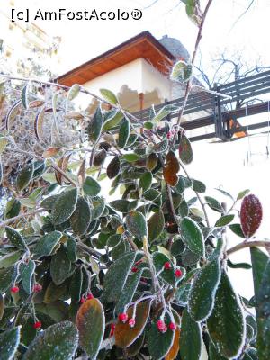 [P10] O dimineață geroasă de ianuarie la Biserica Bucur Ciobanul - București.  » foto by tata123 🔱
 - 
<span class="allrVoted glyphicon glyphicon-heart hidden" id="av833027"></span>
<a class="m-l-10 hidden" id="sv833027" onclick="voting_Foto_DelVot(,833027,3729)" role="button">șterge vot <span class="glyphicon glyphicon-remove"></span></a>
<a id="v9833027" class=" c-red"  onclick="voting_Foto_SetVot(833027)" role="button"><span class="glyphicon glyphicon-heart-empty"></span> <b>LIKE</b> = Votează poza</a> <img class="hidden"  id="f833027W9" src="/imagini/loader.gif" border="0" /><span class="AjErrMes hidden" id="e833027ErM"></span>