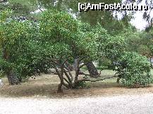 [P12] Crikvenica - parcul central » foto by danoradea
 - 
<span class="allrVoted glyphicon glyphicon-heart hidden" id="av29486"></span>
<a class="m-l-10 hidden" id="sv29486" onclick="voting_Foto_DelVot(,29486,3967)" role="button">șterge vot <span class="glyphicon glyphicon-remove"></span></a>
<a id="v929486" class=" c-red"  onclick="voting_Foto_SetVot(29486)" role="button"><span class="glyphicon glyphicon-heart-empty"></span> <b>LIKE</b> = Votează poza</a> <img class="hidden"  id="f29486W9" src="/imagini/loader.gif" border="0" /><span class="AjErrMes hidden" id="e29486ErM"></span>