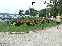 [P29] Crikvenica - parcul orasului » foto by danoradea
 - 
<span class="allrVoted glyphicon glyphicon-heart hidden" id="av29513"></span>
<a class="m-l-10 hidden" id="sv29513" onclick="voting_Foto_DelVot(,29513,3967)" role="button">șterge vot <span class="glyphicon glyphicon-remove"></span></a>
<a id="v929513" class=" c-red"  onclick="voting_Foto_SetVot(29513)" role="button"><span class="glyphicon glyphicon-heart-empty"></span> <b>LIKE</b> = Votează poza</a> <img class="hidden"  id="f29513W9" src="/imagini/loader.gif" border="0" /><span class="AjErrMes hidden" id="e29513ErM"></span>
