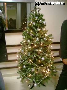 [P05]  -- <small>// FĂRĂ DESCRIERE</small> » foto by zenobia*
 - 
<span class="allrVoted glyphicon glyphicon-heart hidden" id="av35823"></span>
<a class="m-l-10 hidden" id="sv35823" onclick="voting_Foto_DelVot(,35823,4256)" role="button">șterge vot <span class="glyphicon glyphicon-remove"></span></a>
<a id="v935823" class=" c-red"  onclick="voting_Foto_SetVot(35823)" role="button"><span class="glyphicon glyphicon-heart-empty"></span> <b>LIKE</b> = Votează poza</a> <img class="hidden"  id="f35823W9" src="/imagini/loader.gif" border="0" /><span class="AjErrMes hidden" id="e35823ErM"></span>