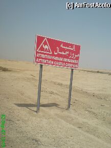 [P12] Indicator rutier in desert » foto by Diaura*
 - 
<span class="allrVoted glyphicon glyphicon-heart hidden" id="av964"></span>
<a class="m-l-10 hidden" id="sv964" onclick="voting_Foto_DelVot(,964,484)" role="button">șterge vot <span class="glyphicon glyphicon-remove"></span></a>
<a id="v9964" class=" c-red"  onclick="voting_Foto_SetVot(964)" role="button"><span class="glyphicon glyphicon-heart-empty"></span> <b>LIKE</b> = Votează poza</a> <img class="hidden"  id="f964W9" src="/imagini/loader.gif" border="0" /><span class="AjErrMes hidden" id="e964ErM"></span>