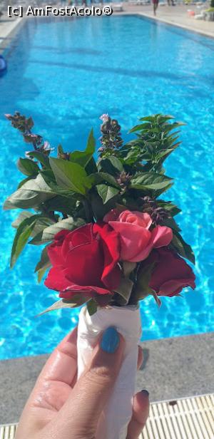 [P06] Buchet primit cadou de la dna de la curatenie. » foto by VasiuM
 - 
<span class="allrVoted glyphicon glyphicon-heart hidden" id="av1262846"></span>
<a class="m-l-10 hidden" id="sv1262846" onclick="voting_Foto_DelVot(,1262846,1)" role="button">șterge vot <span class="glyphicon glyphicon-remove"></span></a>
<a id="v91262846" class=" c-red"  onclick="voting_Foto_SetVot(1262846)" role="button"><span class="glyphicon glyphicon-heart-empty"></span> <b>LIKE</b> = Votează poza</a> <img class="hidden"  id="f1262846W9" src="/imagini/loader.gif" border="0" /><span class="AjErrMes hidden" id="e1262846ErM"></span>