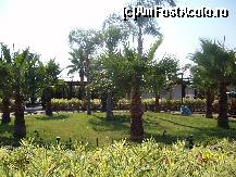 [P05] gradina superba » foto by sabina333*
 - 
<span class="allrVoted glyphicon glyphicon-heart hidden" id="av243423"></span>
<a class="m-l-10 hidden" id="sv243423" onclick="voting_Foto_DelVot(,243423,16)" role="button">șterge vot <span class="glyphicon glyphicon-remove"></span></a>
<a id="v9243423" class=" c-red"  onclick="voting_Foto_SetVot(243423)" role="button"><span class="glyphicon glyphicon-heart-empty"></span> <b>LIKE</b> = Votează poza</a> <img class="hidden"  id="f243423W9" src="/imagini/loader.gif" border="0" /><span class="AjErrMes hidden" id="e243423ErM"></span>