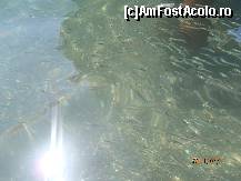 [P07] apa marii si aceia erau pestisori, undeva langa ponton » foto by sabina333*
 - 
<span class="allrVoted glyphicon glyphicon-heart hidden" id="av243425"></span>
<a class="m-l-10 hidden" id="sv243425" onclick="voting_Foto_DelVot(,243425,16)" role="button">șterge vot <span class="glyphicon glyphicon-remove"></span></a>
<a id="v9243425" class=" c-red"  onclick="voting_Foto_SetVot(243425)" role="button"><span class="glyphicon glyphicon-heart-empty"></span> <b>LIKE</b> = Votează poza</a> <img class="hidden"  id="f243425W9" src="/imagini/loader.gif" border="0" /><span class="AjErrMes hidden" id="e243425ErM"></span>