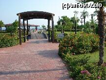 [P02] Drumul prin gradina spre plaja » foto by oanacristina
 - 
<span class="allrVoted glyphicon glyphicon-heart hidden" id="av248726"></span>
<a class="m-l-10 hidden" id="sv248726" onclick="voting_Foto_DelVot(,248726,16)" role="button">șterge vot <span class="glyphicon glyphicon-remove"></span></a>
<a id="v9248726" class=" c-red"  onclick="voting_Foto_SetVot(248726)" role="button"><span class="glyphicon glyphicon-heart-empty"></span> <b>LIKE</b> = Votează poza</a> <img class="hidden"  id="f248726W9" src="/imagini/loader.gif" border="0" /><span class="AjErrMes hidden" id="e248726ErM"></span>