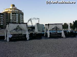 [P13]  -- <small>// FĂRĂ DESCRIERE</small> » foto by rodica73
 - 
<span class="allrVoted glyphicon glyphicon-heart hidden" id="av520175"></span>
<a class="m-l-10 hidden" id="sv520175" onclick="voting_Foto_DelVot(,520175,175)" role="button">șterge vot <span class="glyphicon glyphicon-remove"></span></a>
<a id="v9520175" class=" c-red"  onclick="voting_Foto_SetVot(520175)" role="button"><span class="glyphicon glyphicon-heart-empty"></span> <b>LIKE</b> = Votează poza</a> <img class="hidden"  id="f520175W9" src="/imagini/loader.gif" border="0" /><span class="AjErrMes hidden" id="e520175ErM"></span>