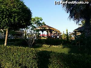 [P14]  -- <small>// FĂRĂ DESCRIERE</small> » foto by rodica73
 - 
<span class="allrVoted glyphicon glyphicon-heart hidden" id="av520176"></span>
<a class="m-l-10 hidden" id="sv520176" onclick="voting_Foto_DelVot(,520176,175)" role="button">șterge vot <span class="glyphicon glyphicon-remove"></span></a>
<a id="v9520176" class=" c-red"  onclick="voting_Foto_SetVot(520176)" role="button"><span class="glyphicon glyphicon-heart-empty"></span> <b>LIKE</b> = Votează poza</a> <img class="hidden"  id="f520176W9" src="/imagini/loader.gif" border="0" /><span class="AjErrMes hidden" id="e520176ErM"></span>