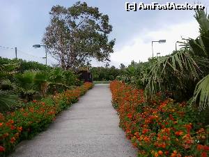 [P37] multe alei » foto by elenaadina
 - 
<span class="allrVoted glyphicon glyphicon-heart hidden" id="av519254"></span>
<a class="m-l-10 hidden" id="sv519254" onclick="voting_Foto_DelVot(,519254,175)" role="button">șterge vot <span class="glyphicon glyphicon-remove"></span></a>
<a id="v9519254" class=" c-red"  onclick="voting_Foto_SetVot(519254)" role="button"><span class="glyphicon glyphicon-heart-empty"></span> <b>LIKE</b> = Votează poza</a> <img class="hidden"  id="f519254W9" src="/imagini/loader.gif" border="0" /><span class="AjErrMes hidden" id="e519254ErM"></span>