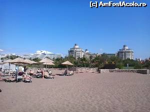 [P51] pe plaja » foto by elenaadina
 - 
<span class="allrVoted glyphicon glyphicon-heart hidden" id="av519268"></span>
<a class="m-l-10 hidden" id="sv519268" onclick="voting_Foto_DelVot(,519268,175)" role="button">șterge vot <span class="glyphicon glyphicon-remove"></span></a>
<a id="v9519268" class=" c-red"  onclick="voting_Foto_SetVot(519268)" role="button"><span class="glyphicon glyphicon-heart-empty"></span> <b>LIKE</b> = Votează poza</a> <img class="hidden"  id="f519268W9" src="/imagini/loader.gif" border="0" /><span class="AjErrMes hidden" id="e519268ErM"></span>