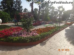[P20] terenul de golf » foto by vio_andu_gaby
 - 
<span class="allrVoted glyphicon glyphicon-heart hidden" id="av526135"></span>
<a class="m-l-10 hidden" id="sv526135" onclick="voting_Foto_DelVot(,526135,20)" role="button">șterge vot <span class="glyphicon glyphicon-remove"></span></a>
<a id="v9526135" class=" c-red"  onclick="voting_Foto_SetVot(526135)" role="button"><span class="glyphicon glyphicon-heart-empty"></span> <b>LIKE</b> = Votează poza</a> <img class="hidden"  id="f526135W9" src="/imagini/loader.gif" border="0" /><span class="AjErrMes hidden" id="e526135ErM"></span>