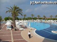 [P02]  -- <small>// FĂRĂ DESCRIERE</small> » foto by sator
 - 
<span class="allrVoted glyphicon glyphicon-heart hidden" id="av8285"></span>
<a class="m-l-10 hidden" id="sv8285" onclick="voting_Foto_DelVot(,8285,203)" role="button">șterge vot <span class="glyphicon glyphicon-remove"></span></a>
<a id="v98285" class=" c-red"  onclick="voting_Foto_SetVot(8285)" role="button"><span class="glyphicon glyphicon-heart-empty"></span> <b>LIKE</b> = Votează poza</a> <img class="hidden"  id="f8285W9" src="/imagini/loader.gif" border="0" /><span class="AjErrMes hidden" id="e8285ErM"></span>