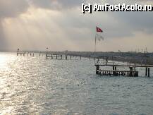 [P04]  -- <small>// FĂRĂ DESCRIERE</small> » foto by sator
 - 
<span class="allrVoted glyphicon glyphicon-heart hidden" id="av8287"></span>
<a class="m-l-10 hidden" id="sv8287" onclick="voting_Foto_DelVot(,8287,203)" role="button">șterge vot <span class="glyphicon glyphicon-remove"></span></a>
<a id="v98287" class=" c-red"  onclick="voting_Foto_SetVot(8287)" role="button"><span class="glyphicon glyphicon-heart-empty"></span> <b>LIKE</b> = Votează poza</a> <img class="hidden"  id="f8287W9" src="/imagini/loader.gif" border="0" /><span class="AjErrMes hidden" id="e8287ErM"></span>