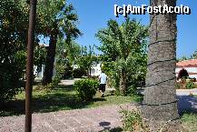 [P14] In gradina » foto by Kalimachi
 - 
<span class="allrVoted glyphicon glyphicon-heart hidden" id="av262619"></span>
<a class="m-l-10 hidden" id="sv262619" onclick="voting_Foto_DelVot(,262619,211)" role="button">șterge vot <span class="glyphicon glyphicon-remove"></span></a>
<a id="v9262619" class=" c-red"  onclick="voting_Foto_SetVot(262619)" role="button"><span class="glyphicon glyphicon-heart-empty"></span> <b>LIKE</b> = Votează poza</a> <img class="hidden"  id="f262619W9" src="/imagini/loader.gif" border="0" /><span class="AjErrMes hidden" id="e262619ErM"></span>