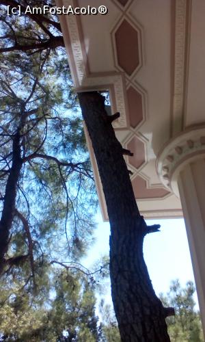 [P10] Respectul pentru natură este vizibil inclusiv în construcţia clădirilor » foto by Klaudyia
 - 
<span class="allrVoted glyphicon glyphicon-heart hidden" id="av819500"></span>
<a class="m-l-10 hidden" id="sv819500" onclick="voting_Foto_DelVot(,819500,304)" role="button">șterge vot <span class="glyphicon glyphicon-remove"></span></a>
<a id="v9819500" class=" c-red"  onclick="voting_Foto_SetVot(819500)" role="button"><span class="glyphicon glyphicon-heart-empty"></span> <b>LIKE</b> = Votează poza</a> <img class="hidden"  id="f819500W9" src="/imagini/loader.gif" border="0" /><span class="AjErrMes hidden" id="e819500ErM"></span>