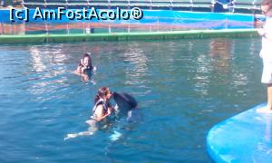 [P24] Un mic moment tandru cu delfinul pupăcios Splash » foto by Klaudyia
 - 
<span class="allrVoted glyphicon glyphicon-heart hidden" id="av819514"></span>
<a class="m-l-10 hidden" id="sv819514" onclick="voting_Foto_DelVot(,819514,304)" role="button">șterge vot <span class="glyphicon glyphicon-remove"></span></a>
<a id="v9819514" class=" c-red"  onclick="voting_Foto_SetVot(819514)" role="button"><span class="glyphicon glyphicon-heart-empty"></span> <b>LIKE</b> = Votează poza</a> <img class="hidden"  id="f819514W9" src="/imagini/loader.gif" border="0" /><span class="AjErrMes hidden" id="e819514ErM"></span>