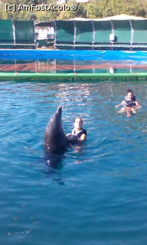 [P25] Un dans... să-l ții minte toată viața!  » foto by Klaudyia
 - 
<span class="allrVoted glyphicon glyphicon-heart hidden" id="av819515"></span>
<a class="m-l-10 hidden" id="sv819515" onclick="voting_Foto_DelVot(,819515,304)" role="button">șterge vot <span class="glyphicon glyphicon-remove"></span></a>
<a id="v9819515" class=" c-red"  onclick="voting_Foto_SetVot(819515)" role="button"><span class="glyphicon glyphicon-heart-empty"></span> <b>LIKE</b> = Votează poza</a> <img class="hidden"  id="f819515W9" src="/imagini/loader.gif" border="0" /><span class="AjErrMes hidden" id="e819515ErM"></span>