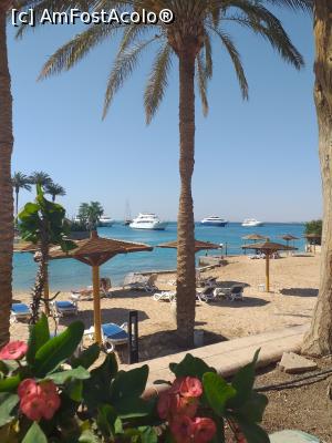 [P17] Vedere din resort spre  plajă și mare. » foto by Rodel
 - 
<span class="allrVoted glyphicon glyphicon-heart hidden" id="av1227409"></span>
<a class="m-l-10 hidden" id="sv1227409" onclick="voting_Foto_DelVot(,1227409,31)" role="button">șterge vot <span class="glyphicon glyphicon-remove"></span></a>
<a id="v91227409" class=" c-red"  onclick="voting_Foto_SetVot(1227409)" role="button"><span class="glyphicon glyphicon-heart-empty"></span> <b>LIKE</b> = Votează poza</a> <img class="hidden"  id="f1227409W9" src="/imagini/loader.gif" border="0" /><span class="AjErrMes hidden" id="e1227409ErM"></span>