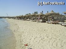 [P03] plaja hotel » foto by deea
 - 
<span class="allrVoted glyphicon glyphicon-heart hidden" id="av5274"></span>
<a class="m-l-10 hidden" id="sv5274" onclick="voting_Foto_DelVot(,5274,33)" role="button">șterge vot <span class="glyphicon glyphicon-remove"></span></a>
<a id="v95274" class=" c-red"  onclick="voting_Foto_SetVot(5274)" role="button"><span class="glyphicon glyphicon-heart-empty"></span> <b>LIKE</b> = Votează poza</a> <img class="hidden"  id="f5274W9" src="/imagini/loader.gif" border="0" /><span class="AjErrMes hidden" id="e5274ErM"></span>
