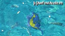 [P05] alt peste » foto by incognito_icd
 - 
<span class="allrVoted glyphicon glyphicon-heart hidden" id="av120470"></span>
<a class="m-l-10 hidden" id="sv120470" onclick="voting_Foto_DelVot(,120470,36)" role="button">șterge vot <span class="glyphicon glyphicon-remove"></span></a>
<a id="v9120470" class=" c-red"  onclick="voting_Foto_SetVot(120470)" role="button"><span class="glyphicon glyphicon-heart-empty"></span> <b>LIKE</b> = Votează poza</a> <img class="hidden"  id="f120470W9" src="/imagini/loader.gif" border="0" /><span class="AjErrMes hidden" id="e120470ErM"></span>
