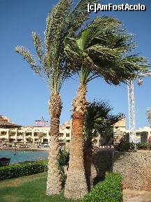 [P12] O parte din plajă. În spate se vede hotelul-frate, El Palacio. » foto by Maditu16
 - 
<span class="allrVoted glyphicon glyphicon-heart hidden" id="av212502"></span>
<a class="m-l-10 hidden" id="sv212502" onclick="voting_Foto_DelVot(,212502,36)" role="button">șterge vot <span class="glyphicon glyphicon-remove"></span></a>
<a id="v9212502" class=" c-red"  onclick="voting_Foto_SetVot(212502)" role="button"><span class="glyphicon glyphicon-heart-empty"></span> <b>LIKE</b> = Votează poza</a> <img class="hidden"  id="f212502W9" src="/imagini/loader.gif" border="0" /><span class="AjErrMes hidden" id="e212502ErM"></span>