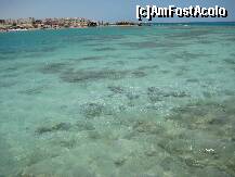 [P17] Vedere spre plaja publică de lîngă hotel. » foto by Maditu16
 - 
<span class="allrVoted glyphicon glyphicon-heart hidden" id="av212508"></span>
<a class="m-l-10 hidden" id="sv212508" onclick="voting_Foto_DelVot(,212508,36)" role="button">șterge vot <span class="glyphicon glyphicon-remove"></span></a>
<a id="v9212508" class=" c-red"  onclick="voting_Foto_SetVot(212508)" role="button"><span class="glyphicon glyphicon-heart-empty"></span> <b>LIKE</b> = Votează poza</a> <img class="hidden"  id="f212508W9" src="/imagini/loader.gif" border="0" /><span class="AjErrMes hidden" id="e212508ErM"></span>