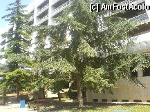 [P2x] Hotel  Sofia   in centrul statiunii aproape de plaja » foto by Nicu
 - 
<span class="allrVoted glyphicon glyphicon-heart hidden" id="av138"></span>
<a class="m-l-10 hidden" id="sv138" onclick="voting_Foto_DelVot(,138,367)" role="button">șterge vot <span class="glyphicon glyphicon-remove"></span></a>
<a id="v9138" class=" c-red"  onclick="voting_Foto_SetVot(138)" role="button"><span class="glyphicon glyphicon-heart-empty"></span> <b>LIKE</b> = Votează poza</a> <img class="hidden"  id="f138W9" src="/imagini/loader.gif" border="0" /><span class="AjErrMes hidden" id="e138ErM"></span>