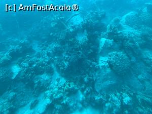 [P70] Observând din submarinul Sindbad » foto by AZE
 - 
<span class="allrVoted glyphicon glyphicon-heart hidden" id="av1417234"></span>
<a class="m-l-10 hidden" id="sv1417234" onclick="voting_Foto_DelVot(,1417234,371)" role="button">șterge vot <span class="glyphicon glyphicon-remove"></span></a>
<a id="v91417234" class=" c-red"  onclick="voting_Foto_SetVot(1417234)" role="button"><span class="glyphicon glyphicon-heart-empty"></span> <b>LIKE</b> = Votează poza</a> <img class="hidden"  id="f1417234W9" src="/imagini/loader.gif" border="0" /><span class="AjErrMes hidden" id="e1417234ErM"></span>