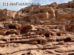 [P18] Canionul colorat &ndash; o minune a naturii » foto by nicole33
 - 
<span class="allrVoted glyphicon glyphicon-heart hidden" id="av1331315"></span>
<a class="m-l-10 hidden" id="sv1331315" onclick="voting_Foto_DelVot(,1331315,385)" role="button">șterge vot <span class="glyphicon glyphicon-remove"></span></a>
<a id="v91331315" class=" c-red"  onclick="voting_Foto_SetVot(1331315)" role="button"><span class="glyphicon glyphicon-heart-empty"></span> <b>LIKE</b> = Votează poza</a> <img class="hidden"  id="f1331315W9" src="/imagini/loader.gif" border="0" /><span class="AjErrMes hidden" id="e1331315ErM"></span>