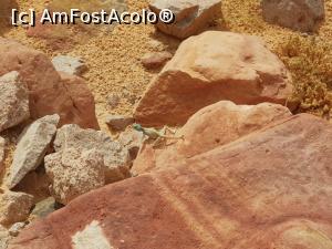 [P19] Canionul colorat &ndash; o minune a naturii - şi o şop&acirc;rlă » foto by nicole33
 - 
<span class="allrVoted glyphicon glyphicon-heart hidden" id="av1331316"></span>
<a class="m-l-10 hidden" id="sv1331316" onclick="voting_Foto_DelVot(,1331316,385)" role="button">șterge vot <span class="glyphicon glyphicon-remove"></span></a>
<a id="v91331316" class=" c-red"  onclick="voting_Foto_SetVot(1331316)" role="button"><span class="glyphicon glyphicon-heart-empty"></span> <b>LIKE</b> = Votează poza</a> <img class="hidden"  id="f1331316W9" src="/imagini/loader.gif" border="0" /><span class="AjErrMes hidden" id="e1331316ErM"></span>