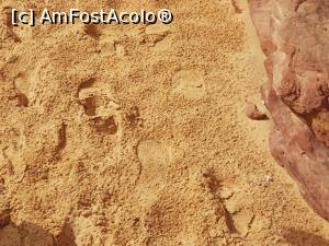 [P23] Canionul colorat &ndash; o minune a naturii, păşind pe nisipul udat de o ploaie scurtă » foto by nicole33
 - 
<span class="allrVoted glyphicon glyphicon-heart hidden" id="av1331320"></span>
<a class="m-l-10 hidden" id="sv1331320" onclick="voting_Foto_DelVot(,1331320,385)" role="button">șterge vot <span class="glyphicon glyphicon-remove"></span></a>
<a id="v91331320" class=" c-red"  onclick="voting_Foto_SetVot(1331320)" role="button"><span class="glyphicon glyphicon-heart-empty"></span> <b>LIKE</b> = Votează poza</a> <img class="hidden"  id="f1331320W9" src="/imagini/loader.gif" border="0" /><span class="AjErrMes hidden" id="e1331320ErM"></span>