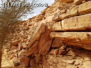 [P24] Canionul colorat &ndash; o minune a naturii » foto by nicole33
 - 
<span class="allrVoted glyphicon glyphicon-heart hidden" id="av1331321"></span>
<a class="m-l-10 hidden" id="sv1331321" onclick="voting_Foto_DelVot(,1331321,385)" role="button">șterge vot <span class="glyphicon glyphicon-remove"></span></a>
<a id="v91331321" class=" c-red"  onclick="voting_Foto_SetVot(1331321)" role="button"><span class="glyphicon glyphicon-heart-empty"></span> <b>LIKE</b> = Votează poza</a> <img class="hidden"  id="f1331321W9" src="/imagini/loader.gif" border="0" /><span class="AjErrMes hidden" id="e1331321ErM"></span>