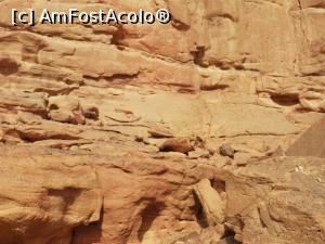 [P53] Canionul colorat &ndash; o minune a naturii » foto by nicole33
 - 
<span class="allrVoted glyphicon glyphicon-heart hidden" id="av1331350"></span>
<a class="m-l-10 hidden" id="sv1331350" onclick="voting_Foto_DelVot(,1331350,385)" role="button">șterge vot <span class="glyphicon glyphicon-remove"></span></a>
<a id="v91331350" class=" c-red"  onclick="voting_Foto_SetVot(1331350)" role="button"><span class="glyphicon glyphicon-heart-empty"></span> <b>LIKE</b> = Votează poza</a> <img class="hidden"  id="f1331350W9" src="/imagini/loader.gif" border="0" /><span class="AjErrMes hidden" id="e1331350ErM"></span>