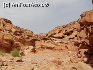 [P55] Canionul colorat &ndash; o minune a naturii, prin canion » foto by nicole33
 - 
<span class="allrVoted glyphicon glyphicon-heart hidden" id="av1331352"></span>
<a class="m-l-10 hidden" id="sv1331352" onclick="voting_Foto_DelVot(,1331352,385)" role="button">șterge vot <span class="glyphicon glyphicon-remove"></span></a>
<a id="v91331352" class=" c-red"  onclick="voting_Foto_SetVot(1331352)" role="button"><span class="glyphicon glyphicon-heart-empty"></span> <b>LIKE</b> = Votează poza</a> <img class="hidden"  id="f1331352W9" src="/imagini/loader.gif" border="0" /><span class="AjErrMes hidden" id="e1331352ErM"></span>