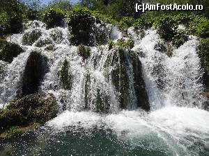 [P10] perdele de cascade şiroind în apele Lacului Plitvice » foto by Marian Preda
 - 
<span class="allrVoted glyphicon glyphicon-heart hidden" id="av599012"></span>
<a class="m-l-10 hidden" id="sv599012" onclick="voting_Foto_DelVot(,599012,399)" role="button">șterge vot <span class="glyphicon glyphicon-remove"></span></a>
<a id="v9599012" class=" c-red"  onclick="voting_Foto_SetVot(599012)" role="button"><span class="glyphicon glyphicon-heart-empty"></span> <b>LIKE</b> = Votează poza</a> <img class="hidden"  id="f599012W9" src="/imagini/loader.gif" border="0" /><span class="AjErrMes hidden" id="e599012ErM"></span>