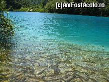[P08] Pesti intr-unul dintre lacurile din Parcul National Plitvice » foto by decebal12345
 - 
<span class="allrVoted glyphicon glyphicon-heart hidden" id="av40457"></span>
<a class="m-l-10 hidden" id="sv40457" onclick="voting_Foto_DelVot(,40457,399)" role="button">șterge vot <span class="glyphicon glyphicon-remove"></span></a>
<a id="v940457" class=" c-red"  onclick="voting_Foto_SetVot(40457)" role="button"><span class="glyphicon glyphicon-heart-empty"></span> <b>LIKE</b> = Votează poza</a> <img class="hidden"  id="f40457W9" src="/imagini/loader.gif" border="0" /><span class="AjErrMes hidden" id="e40457ErM"></span>