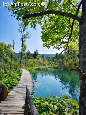 [P21] Parcul Plitvice » foto by crisa04
 - 
<span class="allrVoted glyphicon glyphicon-heart hidden" id="av1184983"></span>
<a class="m-l-10 hidden" id="sv1184983" onclick="voting_Foto_DelVot(,1184983,399)" role="button">șterge vot <span class="glyphicon glyphicon-remove"></span></a>
<a id="v91184983" class=" c-red"  onclick="voting_Foto_SetVot(1184983)" role="button"><span class="glyphicon glyphicon-heart-empty"></span> <b>LIKE</b> = Votează poza</a> <img class="hidden"  id="f1184983W9" src="/imagini/loader.gif" border="0" /><span class="AjErrMes hidden" id="e1184983ErM"></span>