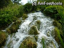 [P02] o cascada » foto by bounceone
 - 
<span class="allrVoted glyphicon glyphicon-heart hidden" id="av2530"></span>
<a class="m-l-10 hidden" id="sv2530" onclick="voting_Foto_DelVot(,2530,412)" role="button">șterge vot <span class="glyphicon glyphicon-remove"></span></a>
<a id="v92530" class=" c-red"  onclick="voting_Foto_SetVot(2530)" role="button"><span class="glyphicon glyphicon-heart-empty"></span> <b>LIKE</b> = Votează poza</a> <img class="hidden"  id="f2530W9" src="/imagini/loader.gif" border="0" /><span class="AjErrMes hidden" id="e2530ErM"></span>