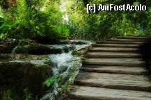 [P20] Parcul national Plitvice » foto by ambvision
 - 
<span class="allrVoted glyphicon glyphicon-heart hidden" id="av503"></span>
<a class="m-l-10 hidden" id="sv503" onclick="voting_Foto_DelVot(,503,412)" role="button">șterge vot <span class="glyphicon glyphicon-remove"></span></a>
<a id="v9503" class=" c-red"  onclick="voting_Foto_SetVot(503)" role="button"><span class="glyphicon glyphicon-heart-empty"></span> <b>LIKE</b> = Votează poza</a> <img class="hidden"  id="f503W9" src="/imagini/loader.gif" border="0" /><span class="AjErrMes hidden" id="e503ErM"></span>