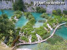 [P09] O parte din Plitvice in toata splendoarea lui » foto by Delight
 - 
<span class="allrVoted glyphicon glyphicon-heart hidden" id="av43410"></span>
<a class="m-l-10 hidden" id="sv43410" onclick="voting_Foto_DelVot(,43410,412)" role="button">șterge vot <span class="glyphicon glyphicon-remove"></span></a>
<a id="v943410" class=" c-red"  onclick="voting_Foto_SetVot(43410)" role="button"><span class="glyphicon glyphicon-heart-empty"></span> <b>LIKE</b> = Votează poza</a> <img class="hidden"  id="f43410W9" src="/imagini/loader.gif" border="0" /><span class="AjErrMes hidden" id="e43410ErM"></span>