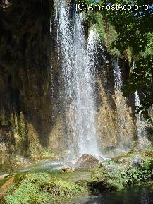 [P07] Plitvice, cu cascade spectaculoase... » foto by ileanaxperta*
 - 
<span class="allrVoted glyphicon glyphicon-heart hidden" id="av13401"></span>
<a class="m-l-10 hidden" id="sv13401" onclick="voting_Foto_DelVot(,13401,412)" role="button">șterge vot <span class="glyphicon glyphicon-remove"></span></a>
<a id="v913401" class=" c-red"  onclick="voting_Foto_SetVot(13401)" role="button"><span class="glyphicon glyphicon-heart-empty"></span> <b>LIKE</b> = Votează poza</a> <img class="hidden"  id="f13401W9" src="/imagini/loader.gif" border="0" /><span class="AjErrMes hidden" id="e13401ErM"></span>