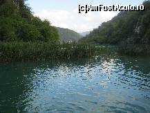 [P24] Parcul National Plitvice » foto by romanitzaa
 - 
<span class="allrVoted glyphicon glyphicon-heart hidden" id="av161698"></span>
<a class="m-l-10 hidden" id="sv161698" onclick="voting_Foto_DelVot(,161698,412)" role="button">șterge vot <span class="glyphicon glyphicon-remove"></span></a>
<a id="v9161698" class=" c-red"  onclick="voting_Foto_SetVot(161698)" role="button"><span class="glyphicon glyphicon-heart-empty"></span> <b>LIKE</b> = Votează poza</a> <img class="hidden"  id="f161698W9" src="/imagini/loader.gif" border="0" /><span class="AjErrMes hidden" id="e161698ErM"></span>