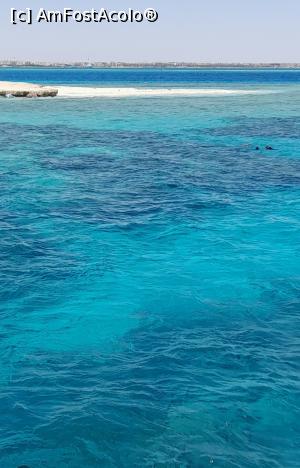 [P06] Excursie Orange Bay » foto by GoldenCris
 - 
<span class="allrVoted glyphicon glyphicon-heart hidden" id="av1368104"></span>
<a class="m-l-10 hidden" id="sv1368104" onclick="voting_Foto_DelVot(,1368104,418)" role="button">șterge vot <span class="glyphicon glyphicon-remove"></span></a>
<a id="v91368104" class=" c-red"  onclick="voting_Foto_SetVot(1368104)" role="button"><span class="glyphicon glyphicon-heart-empty"></span> <b>LIKE</b> = Votează poza</a> <img class="hidden"  id="f1368104W9" src="/imagini/loader.gif" border="0" /><span class="AjErrMes hidden" id="e1368104ErM"></span>