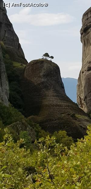 [P16] Meteora » foto by Nico15
 - 
<span class="allrVoted glyphicon glyphicon-heart hidden" id="av1121039"></span>
<a class="m-l-10 hidden" id="sv1121039" onclick="voting_Foto_DelVot(,1121039,430)" role="button">șterge vot <span class="glyphicon glyphicon-remove"></span></a>
<a id="v91121039" class=" c-red"  onclick="voting_Foto_SetVot(1121039)" role="button"><span class="glyphicon glyphicon-heart-empty"></span> <b>LIKE</b> = Votează poza</a> <img class="hidden"  id="f1121039W9" src="/imagini/loader.gif" border="0" /><span class="AjErrMes hidden" id="e1121039ErM"></span>